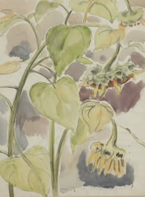 C. Bertram Hartman - Sunflower -  Charcoal & W/C