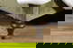 item-210473122=6