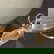 item-210473203=5