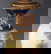 item-210473206=12