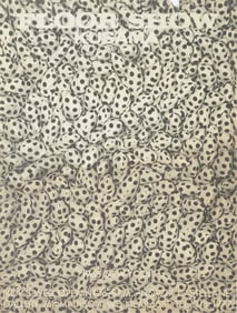 Yayoi Kusama - Floor Show - Signed Poster