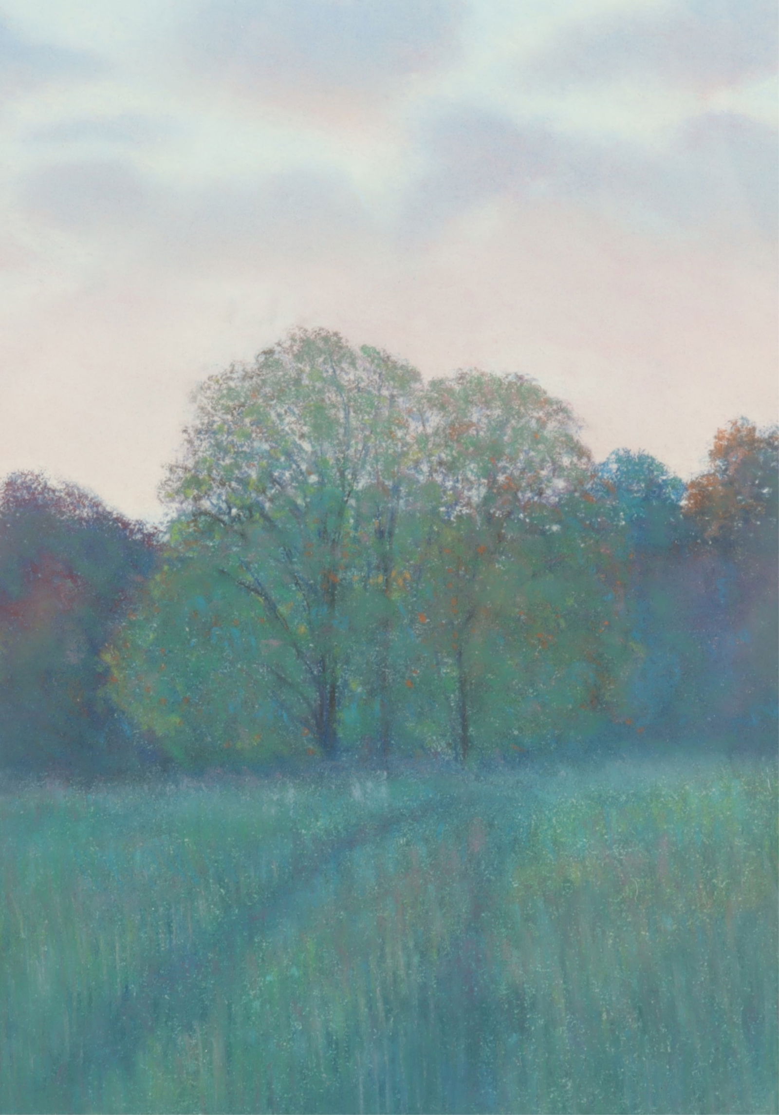 Jim Schantz - Berkshire Meadow Pastel (1 of 5)