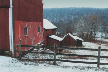 American School - Photo Print Red Barns