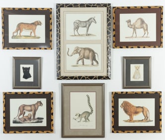 After Brodtman & Audebert - Animal Studies