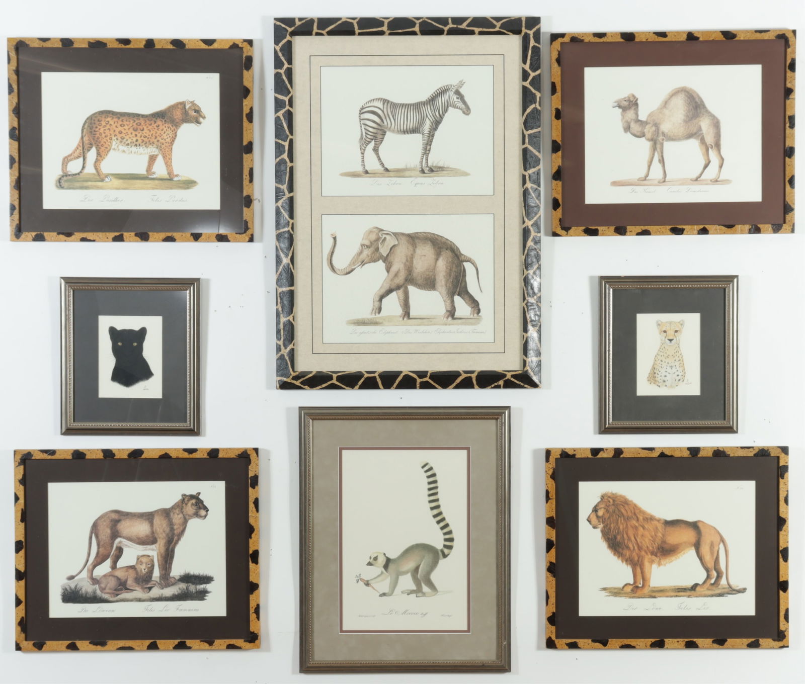 After Brodtman & Audebert - Animal Studies (1 of 11)