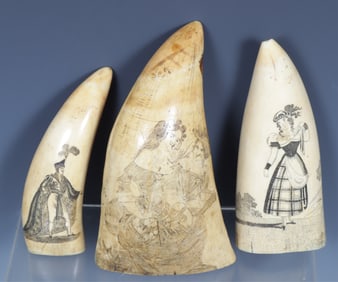 Three Scrimshaw Tusks