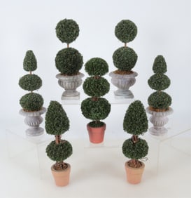 Group of Miniature Topiaries