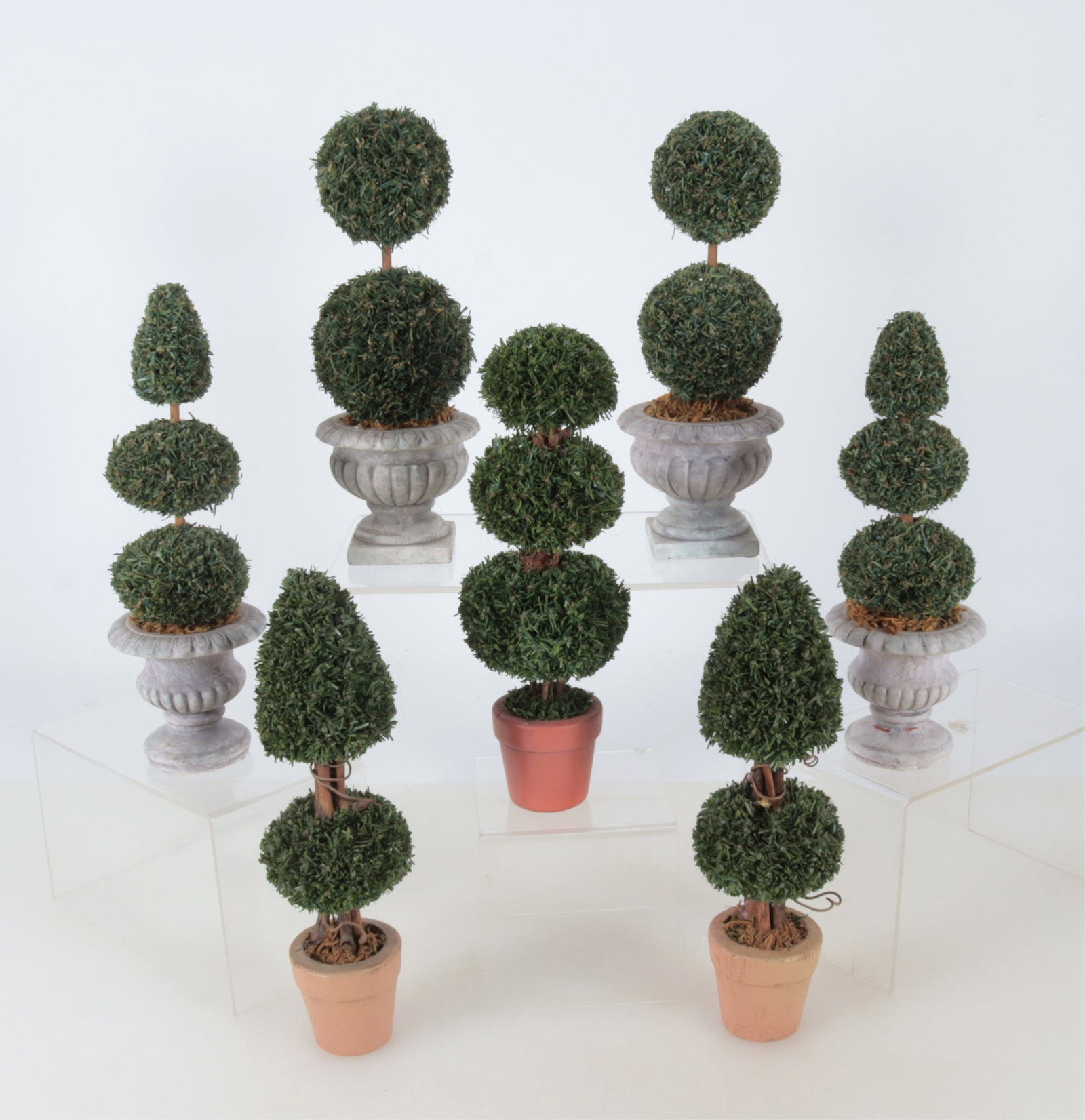 Group of Miniature Topiaries: Group of Miniature Topiaries. Comprising: three pairs and a single. Largest 11.5" H