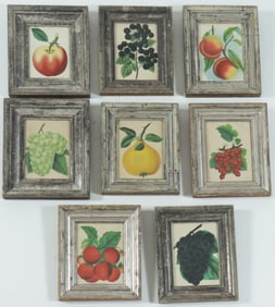 8 Botanical Fruit Prints - 19th C