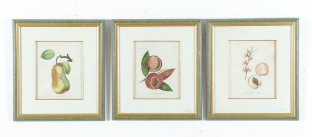 19th C. Weimer Copperplates Pear and Peach