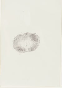 Renato Orara - Untitled (Tangerine)