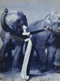 Richard Avedon - Dovima with Elephants