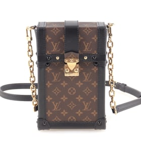 Louis Vuitton Vertical Trunk Pochette