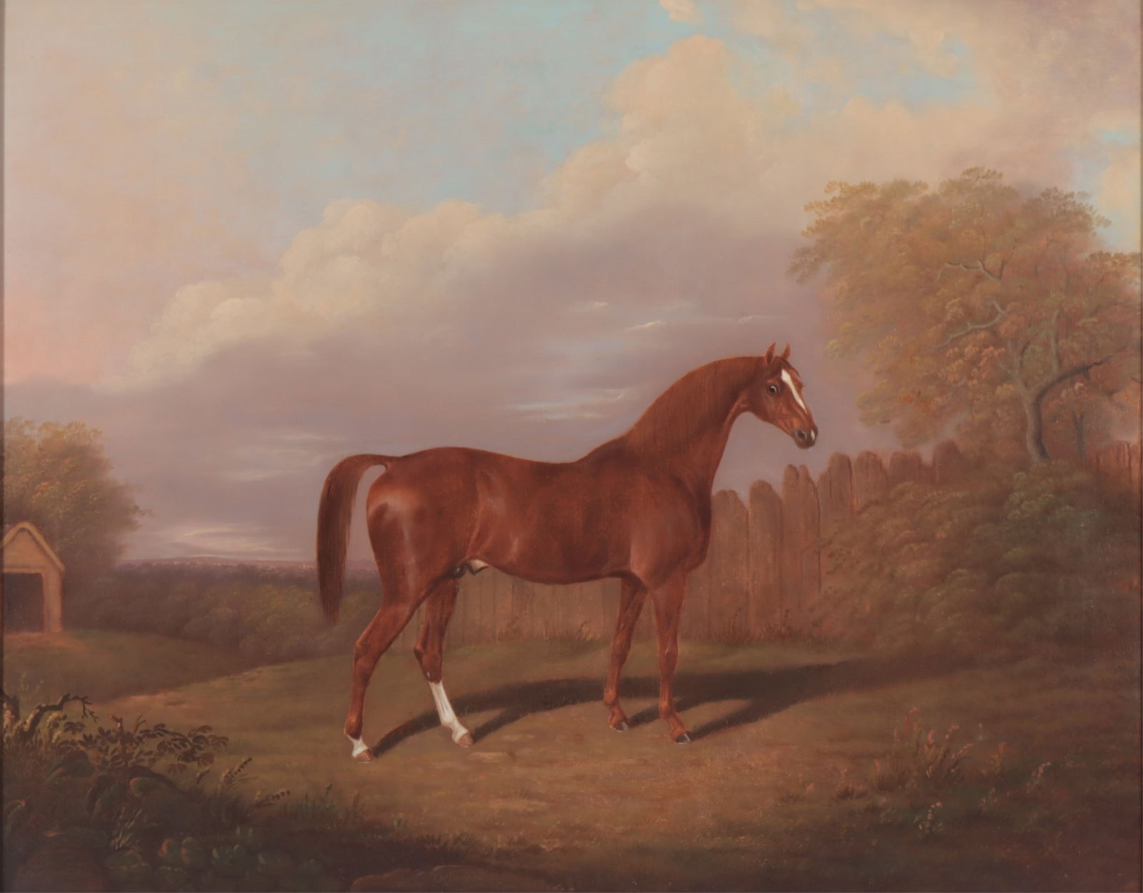 Clifton Tomson - Octavian O/C (1 of 9)