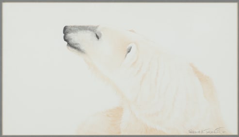 Eugenia Talbott - Polar Bear W/C