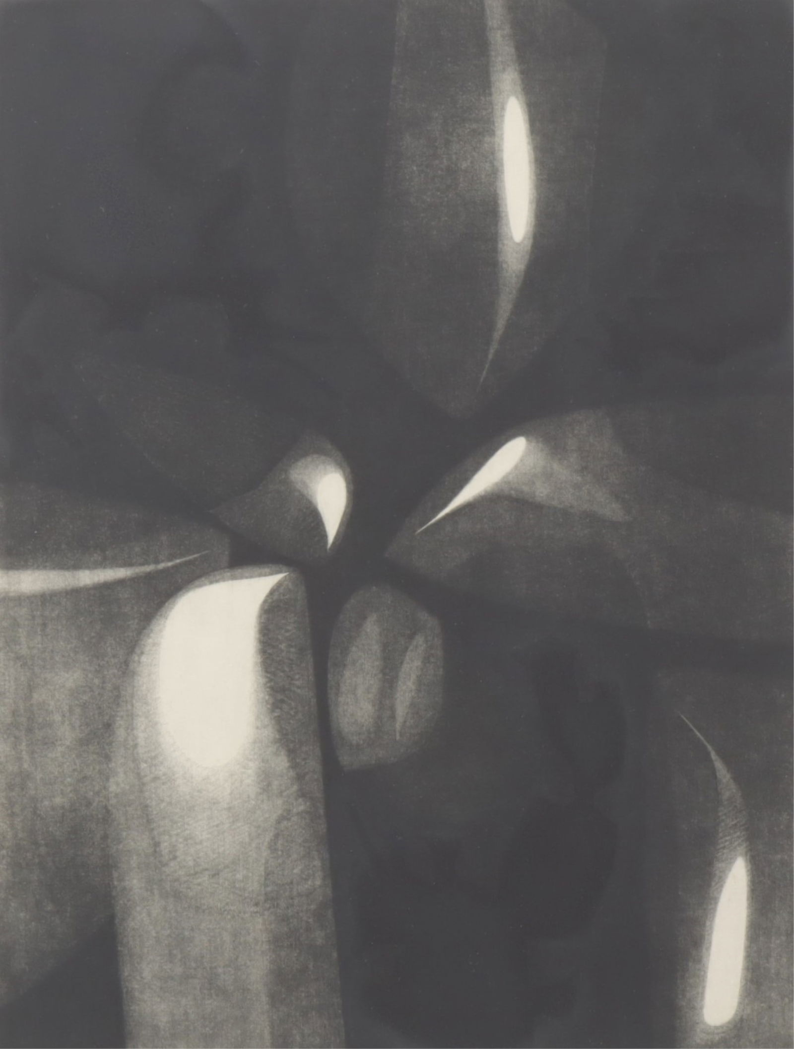 Judith Foster - Benign & Hostile Forms: Judith Foster (British, b.1927) Benign & Hostile Forms, aquatint, pencil signed and dated 1963 and titled lower margin. Dimensions: Framed 24.25" H x 20.25" W 