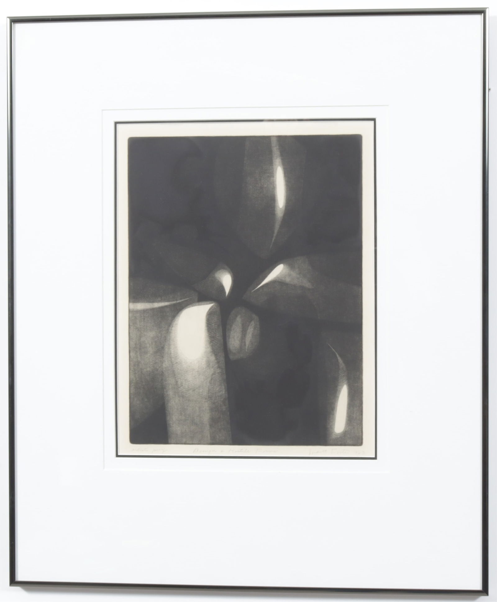 Judith Foster - Benign & Hostile Forms - 2