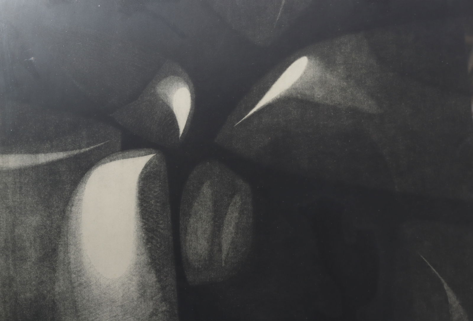 Judith Foster - Benign & Hostile Forms - 3