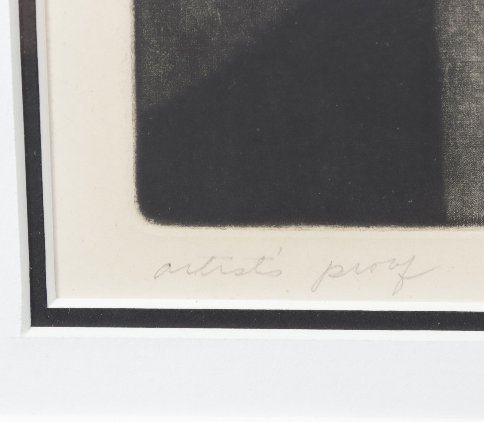 Judith Foster - Benign & Hostile Forms - 4