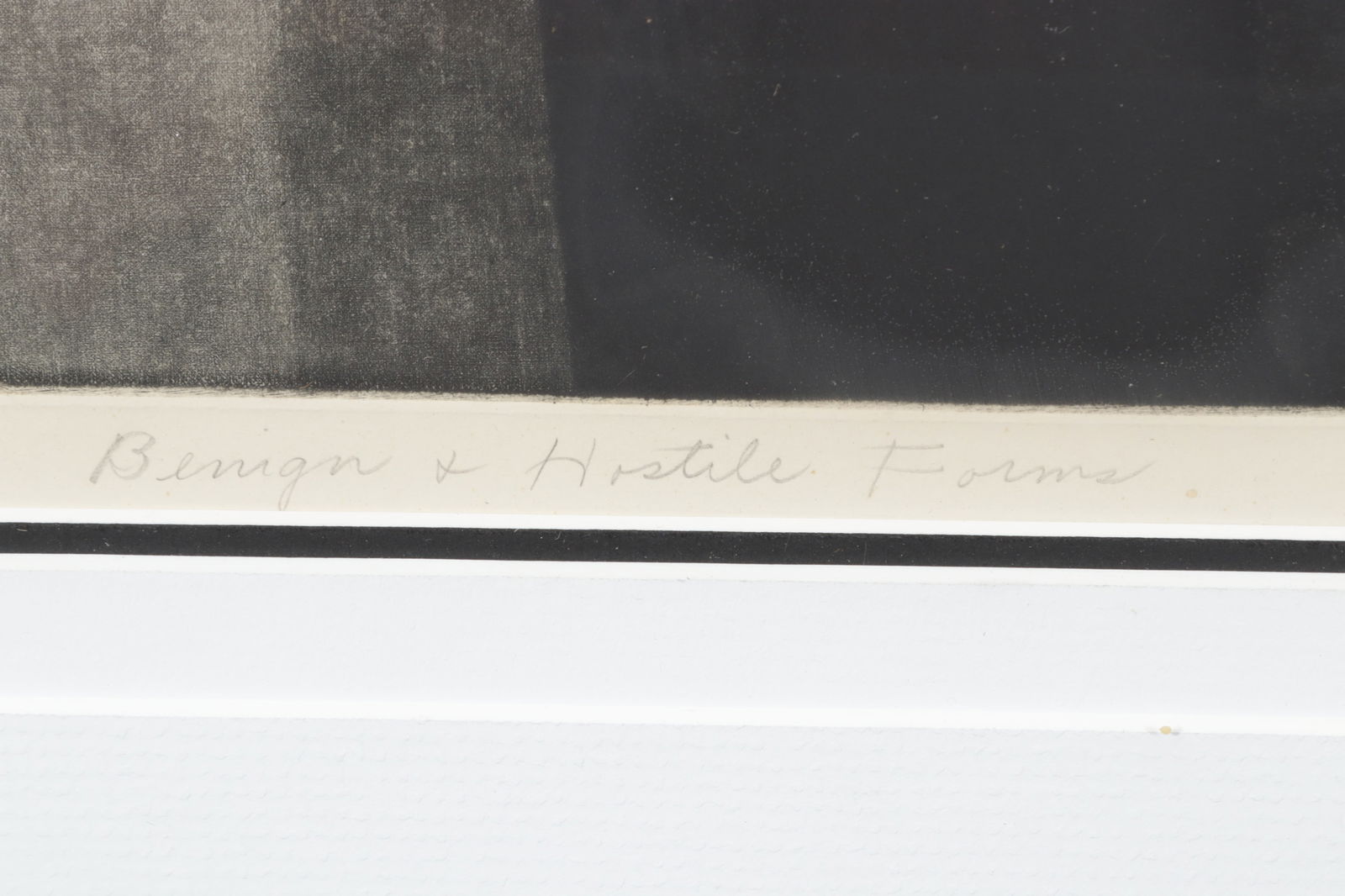 Judith Foster - Benign & Hostile Forms - 5