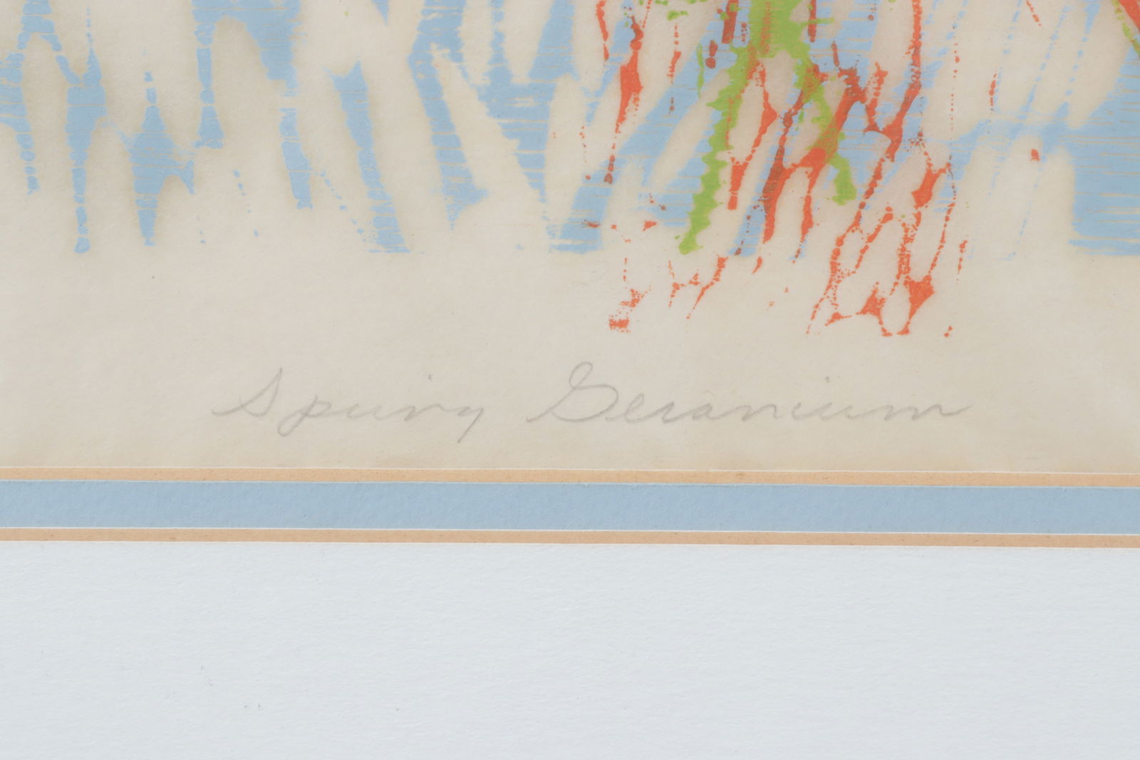 Judith Foster - Spring Geranium, Litho - 4