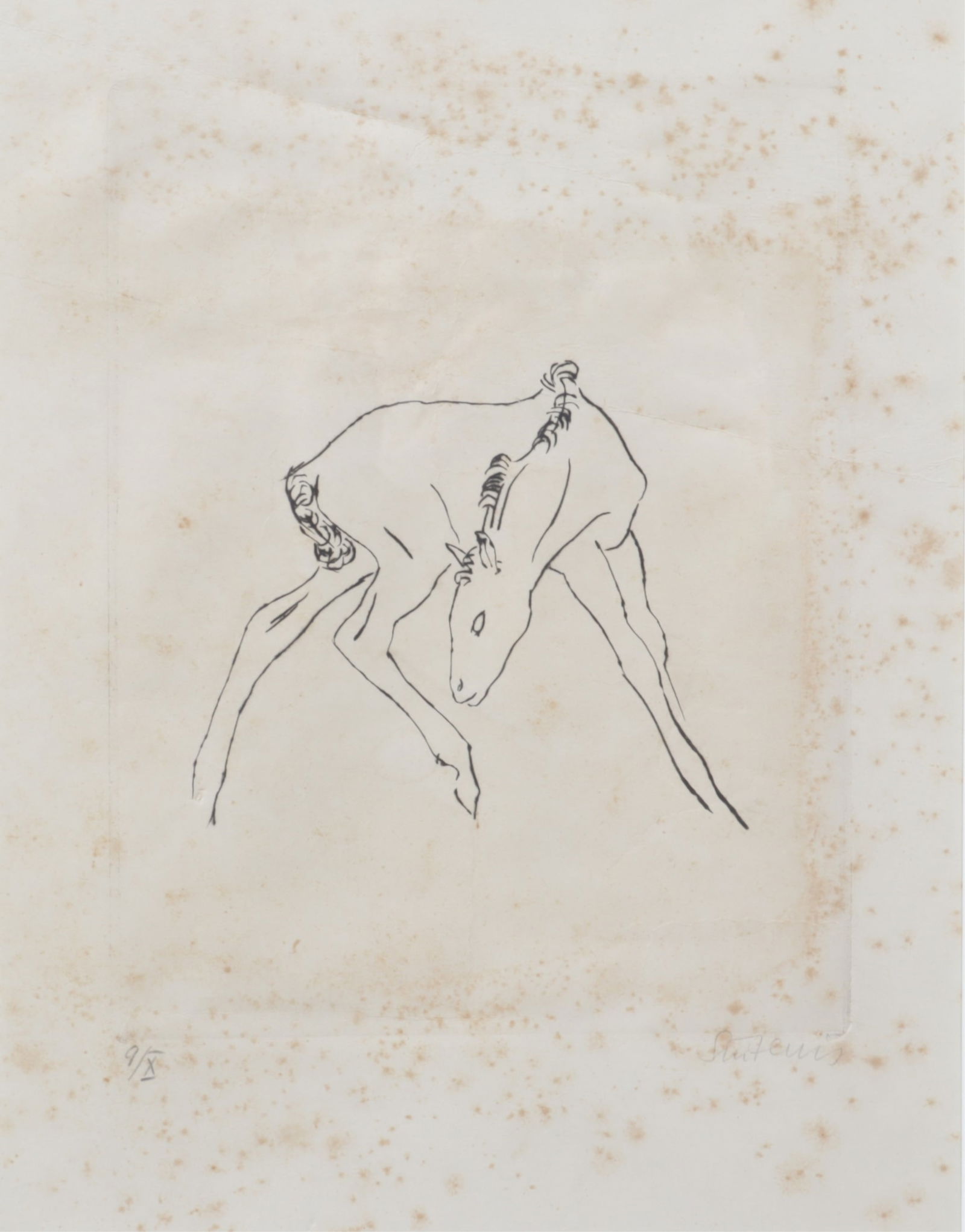 Renee Sintenis - Foal, Lithograph: Renee Sintenis (German, 1888-1965) Foal, lithograph, signed in pencil and numbered 9 of 10 lower right. Dimensions: Sight 11.5" H x 8.75" D, Framed: 17.5" H x 14.75" W 