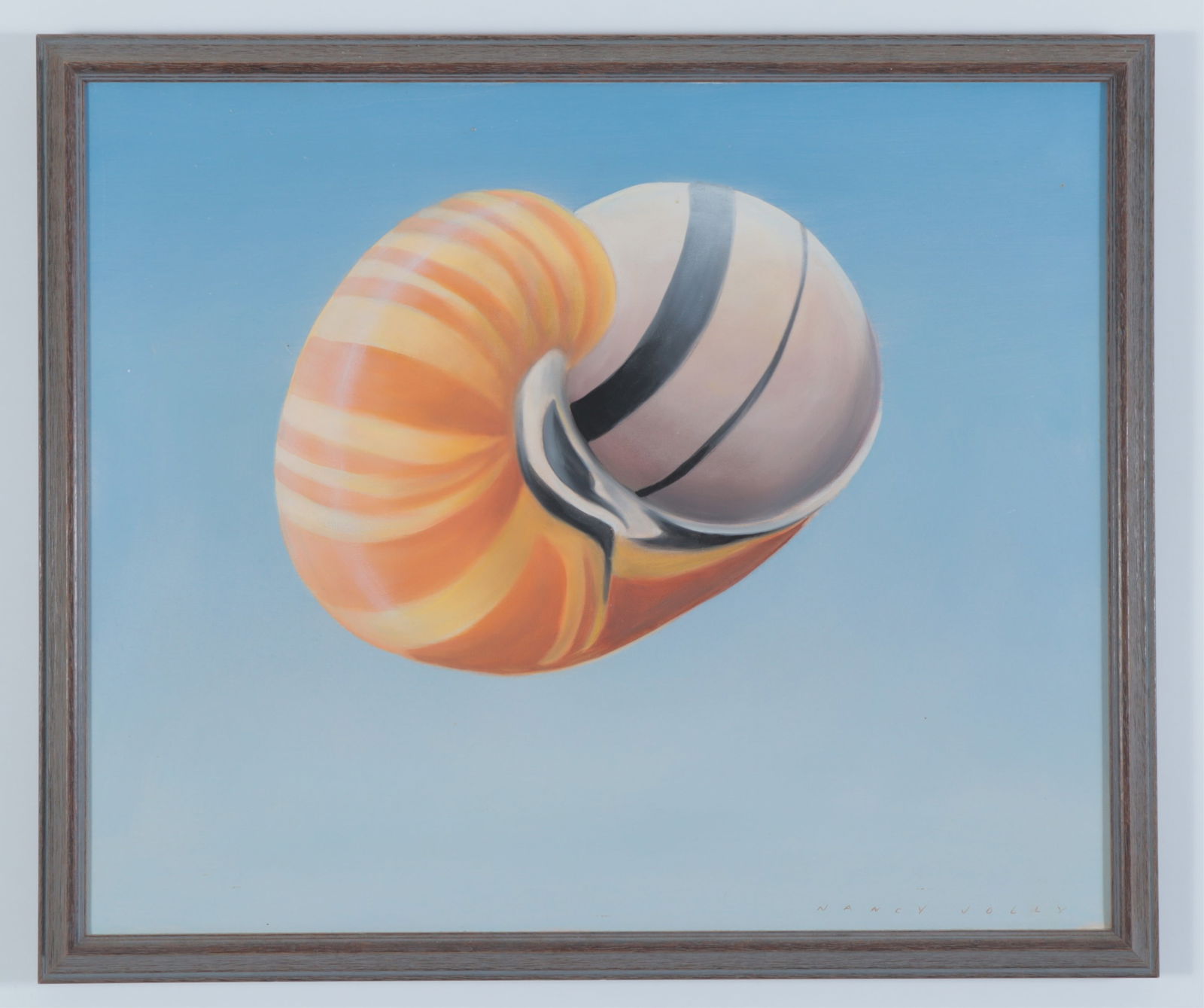 Nancy Jolly - Floating Nautilus, A/C - 2