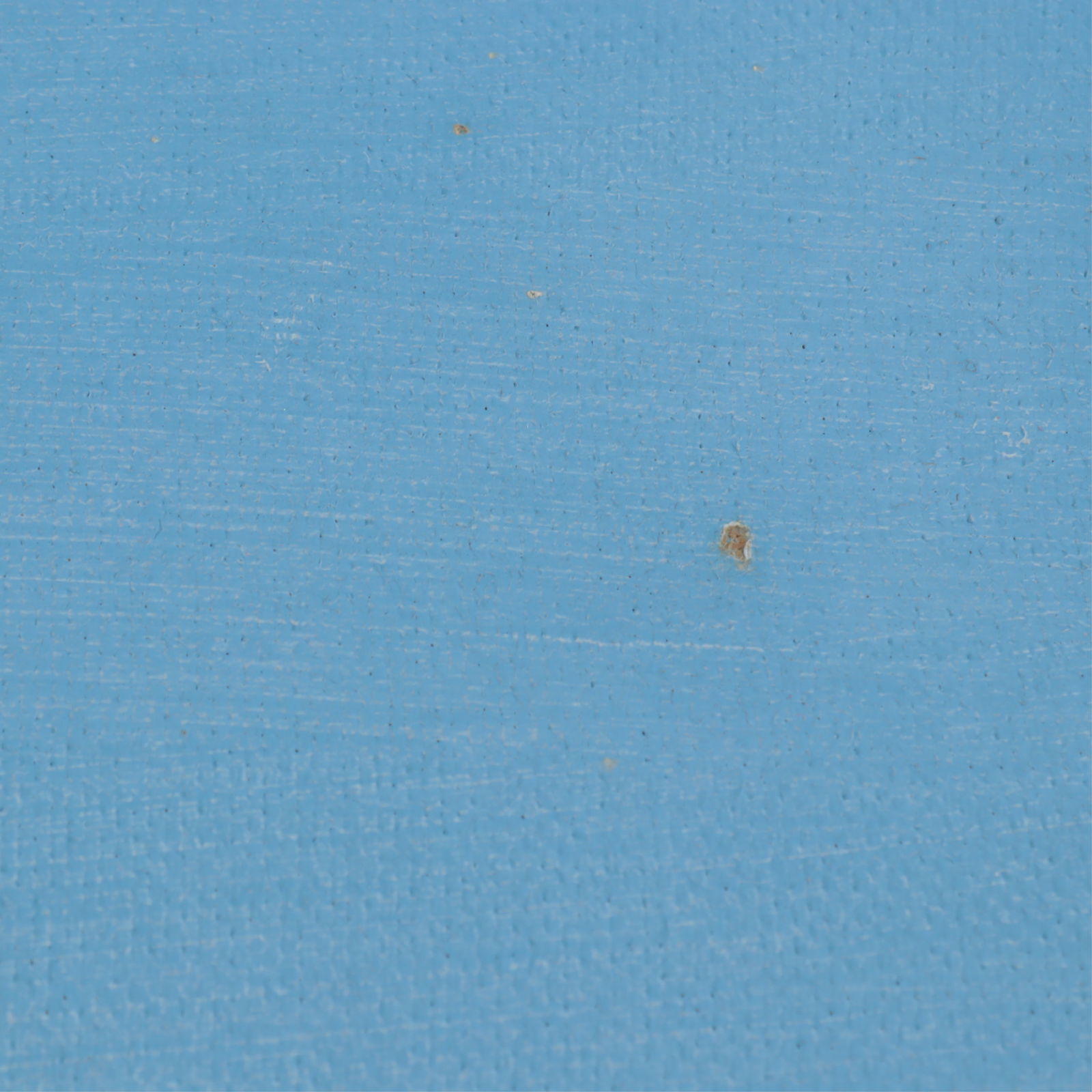 Nancy Jolly - Floating Nautilus, A/C - 7