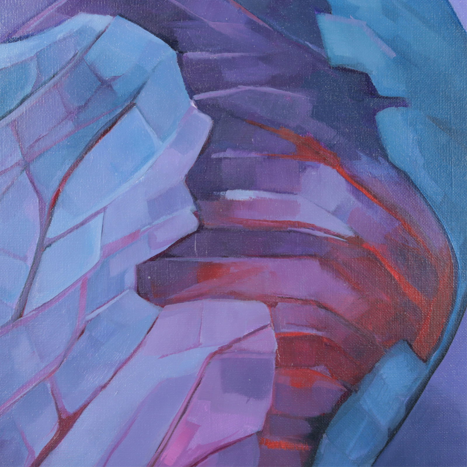 Helen Elliott - Cabbage O/C - 3