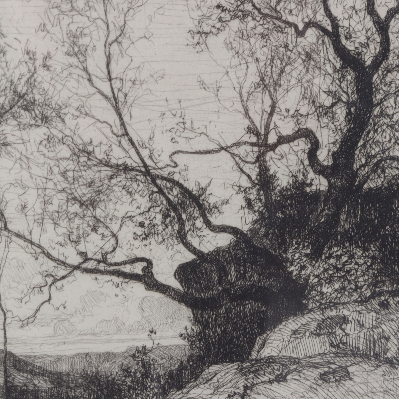 Adolphe Appian - Une Mare, Etching, 19th C - 4