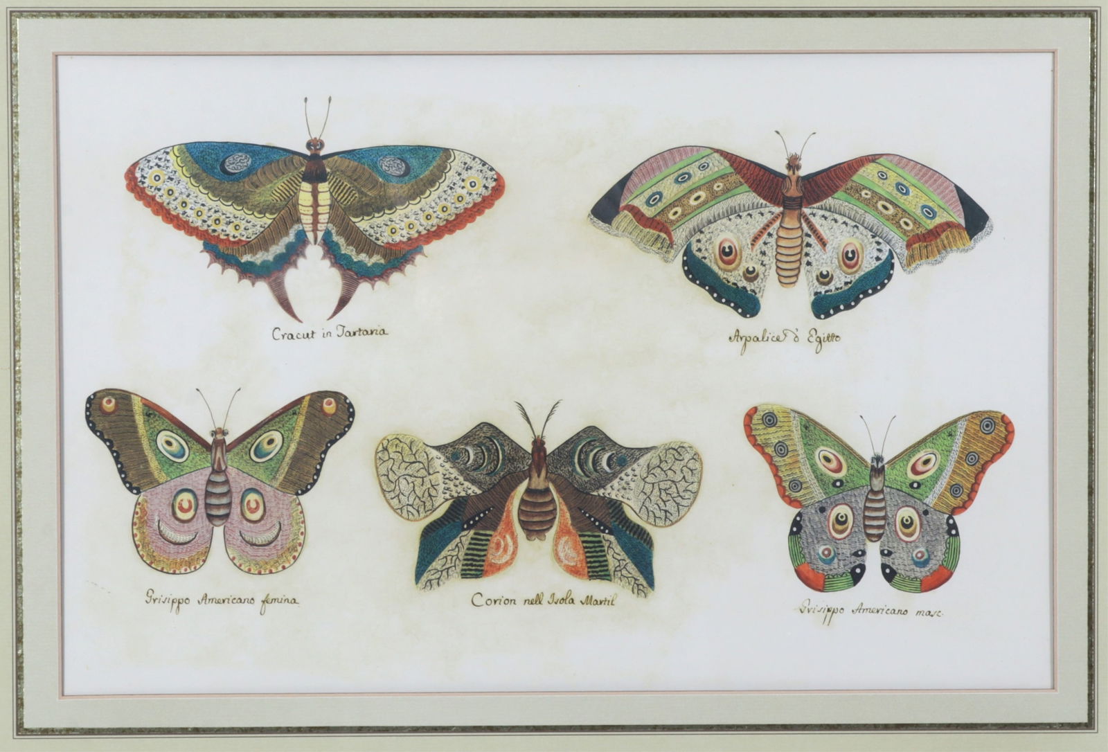 After Giuseppe Ferraini - Fictitious Butterflies: After Giuseppe Ferraini - Fictitious Butterflies, unsigned Dimensions: Framed 20.5" H x 26" W 