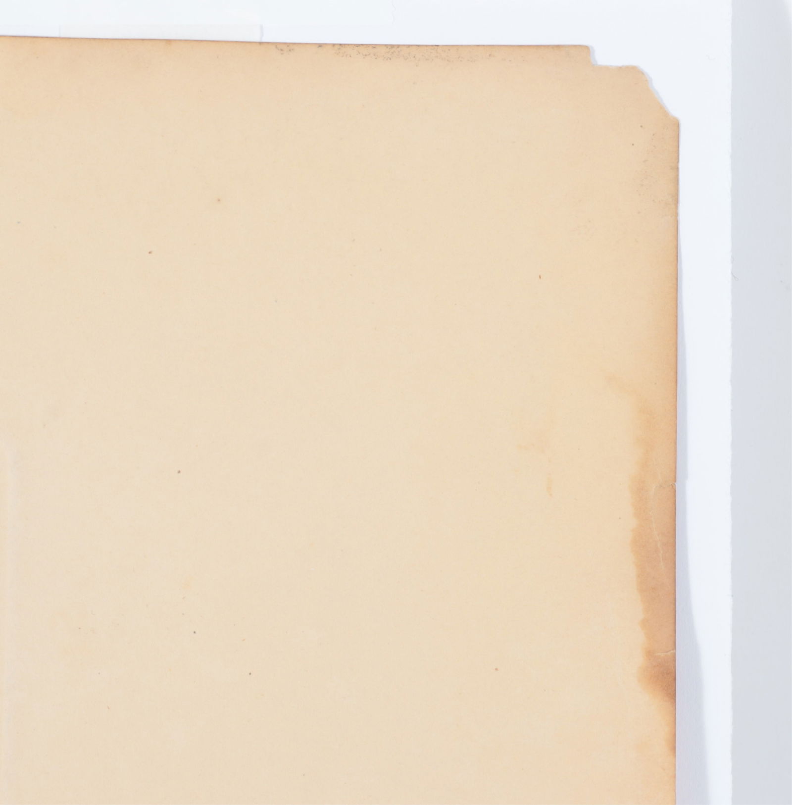 Mark Catesby - Blue Jay, Engraving - 8