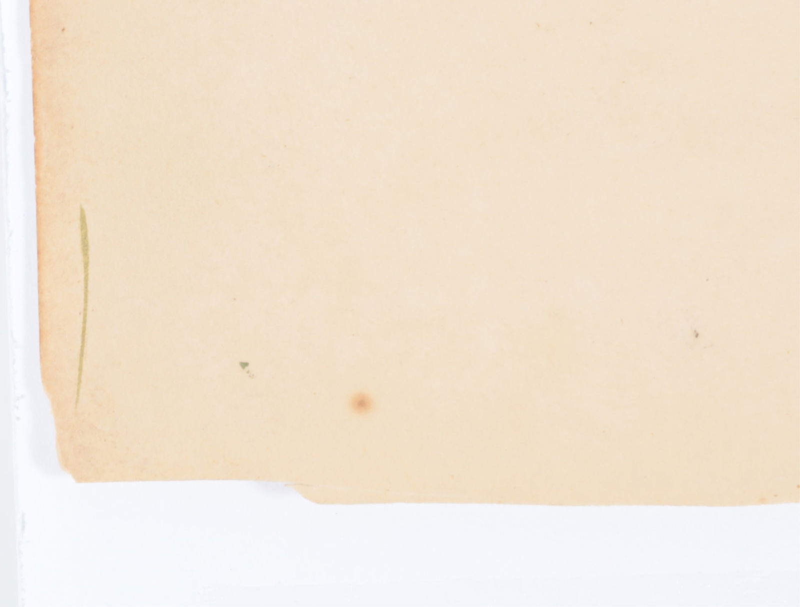 Mark Catesby - Blue Jay, Engraving - 9