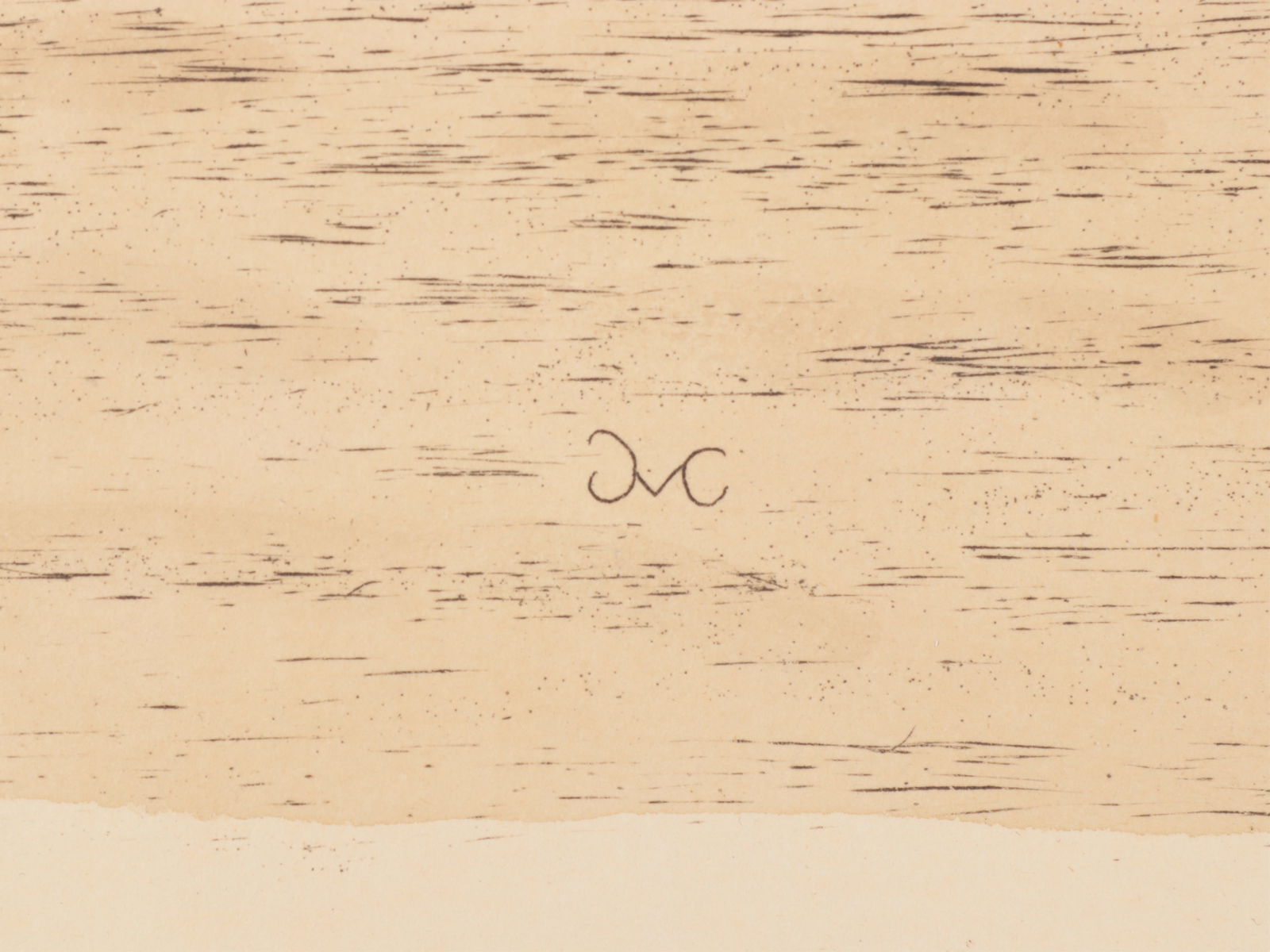 Mark Catesby - Hawksbill Turtle T39, Engraving - 4