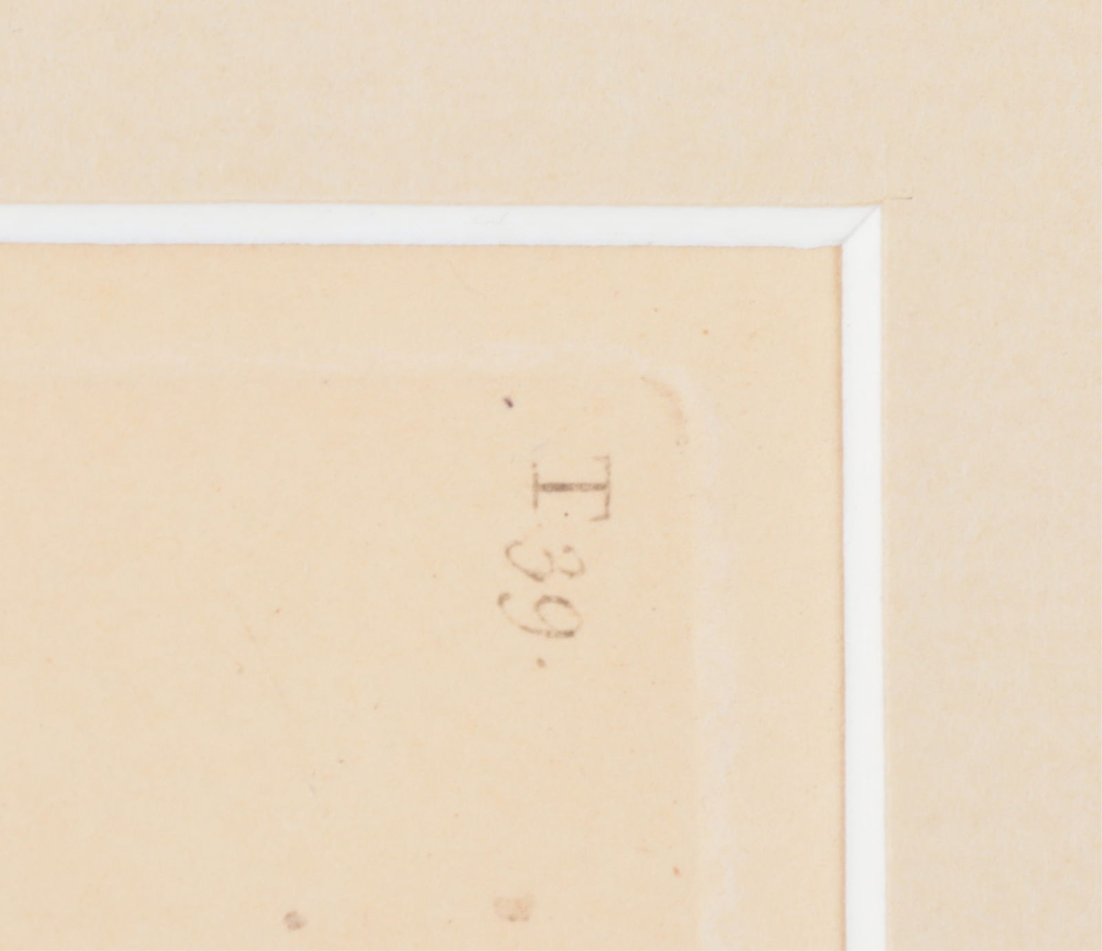 Mark Catesby - Hawksbill Turtle T39, Engraving - 5