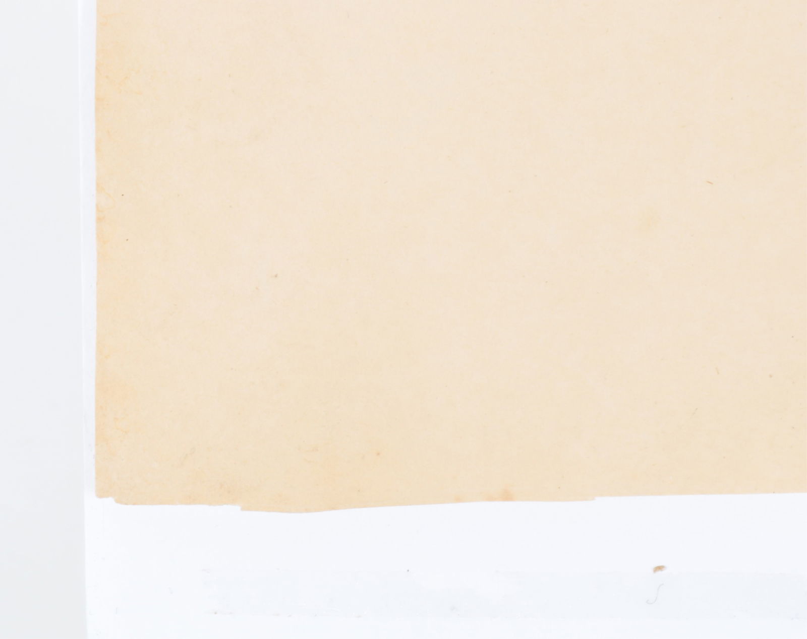 Mark Catesby - Hawksbill Turtle T39, Engraving - 7