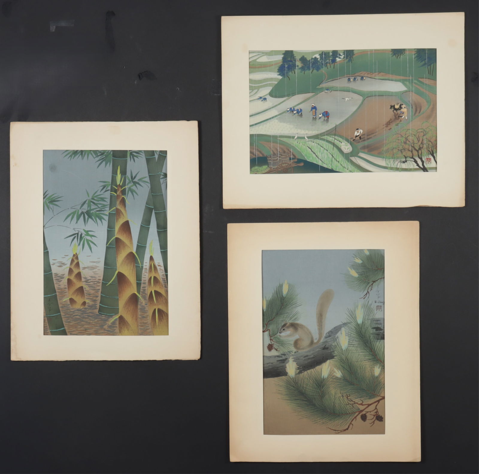 Bakufu Ohno- Squirrel-Bamboo- Field- Woodblocks: Bakufu Ohno, Japanese, 1888-1976, 3 woodblocks includes Planting Rice, (1950) , Squirrel in a pine tree (1949), Bamboo Grove, (1950) Dimensions: Sheet sizes 10 1/2 -15 1/2 From a New Haven County