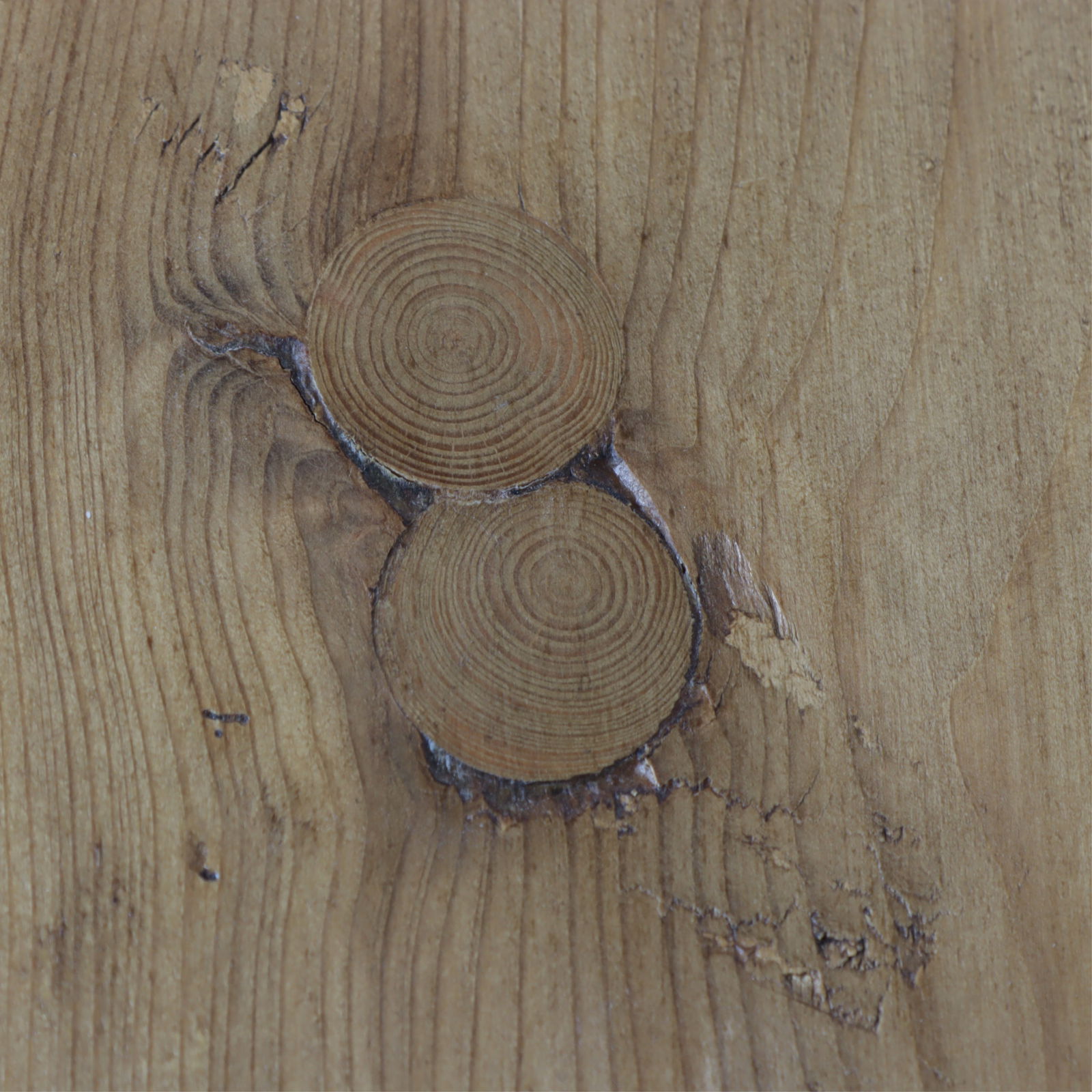 Aesthetic Movement Style Pine Bookcase - 10