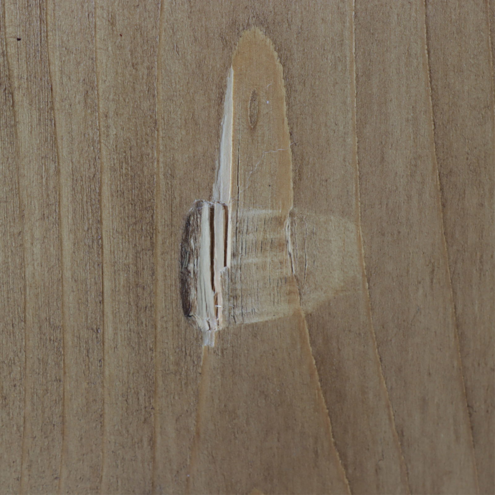 Aesthetic Movement Style Pine Bookcase - 9