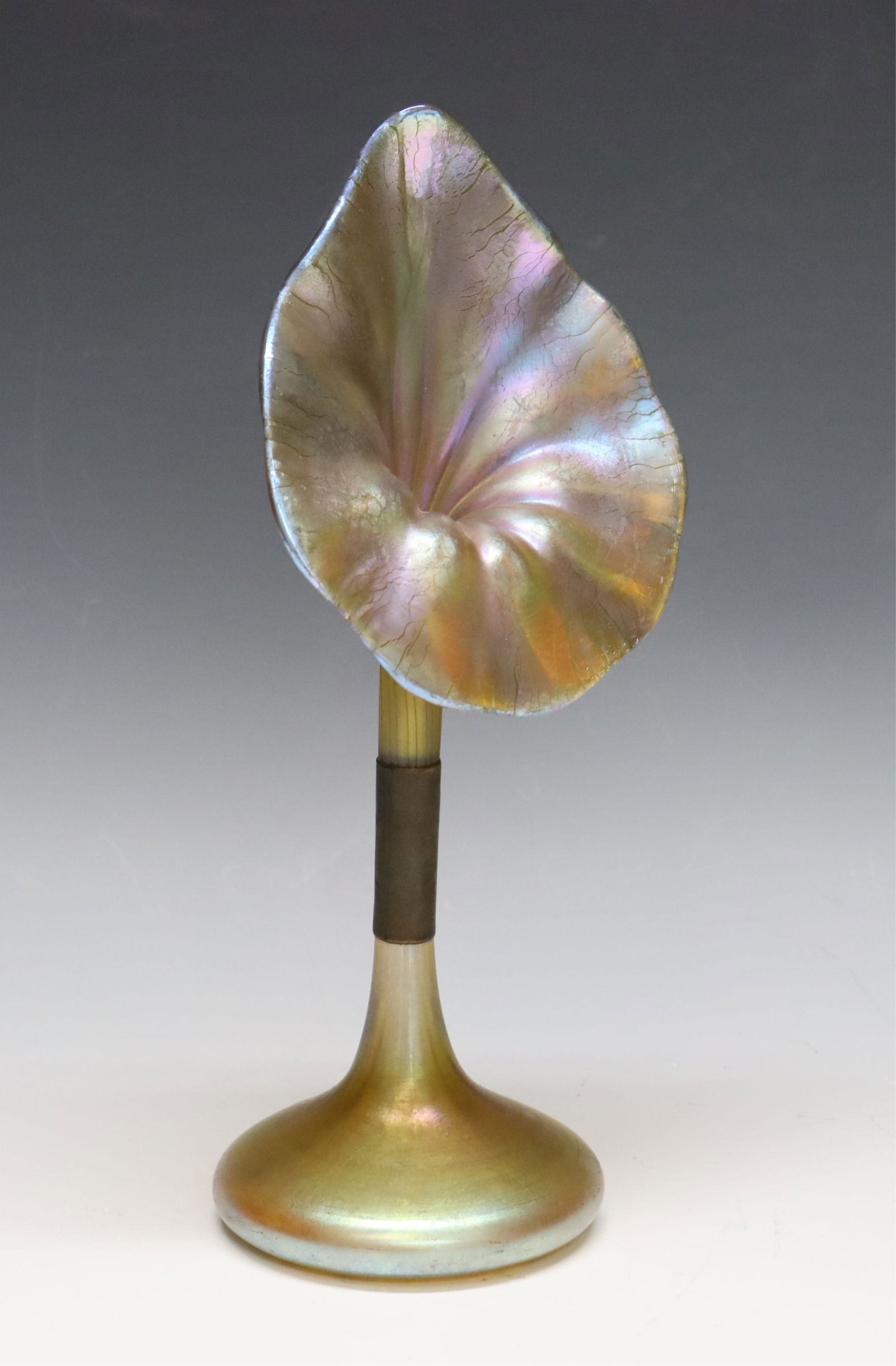 L.C. Tiffany Jack in the Pulpit vase (1 of 6)