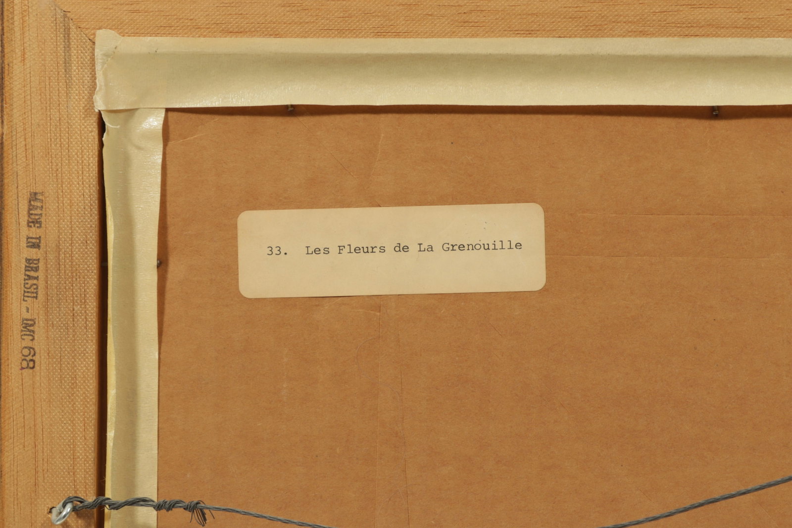 Wayne Ehsurd - Les Fleures de la Grenouille W/C - 7