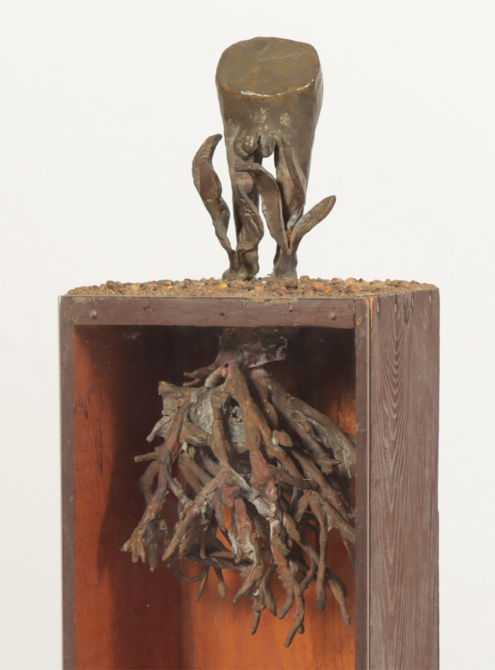 Naturalist Bronze Sculpture Assemblage: Naturalist Bronze sculpture assemblage, 20th C., Unknown artist, nude male figure standing on top of gravel on wooden platform with extended tree root, plexi encased wooden box Dimensions: 36 H x 7.5 