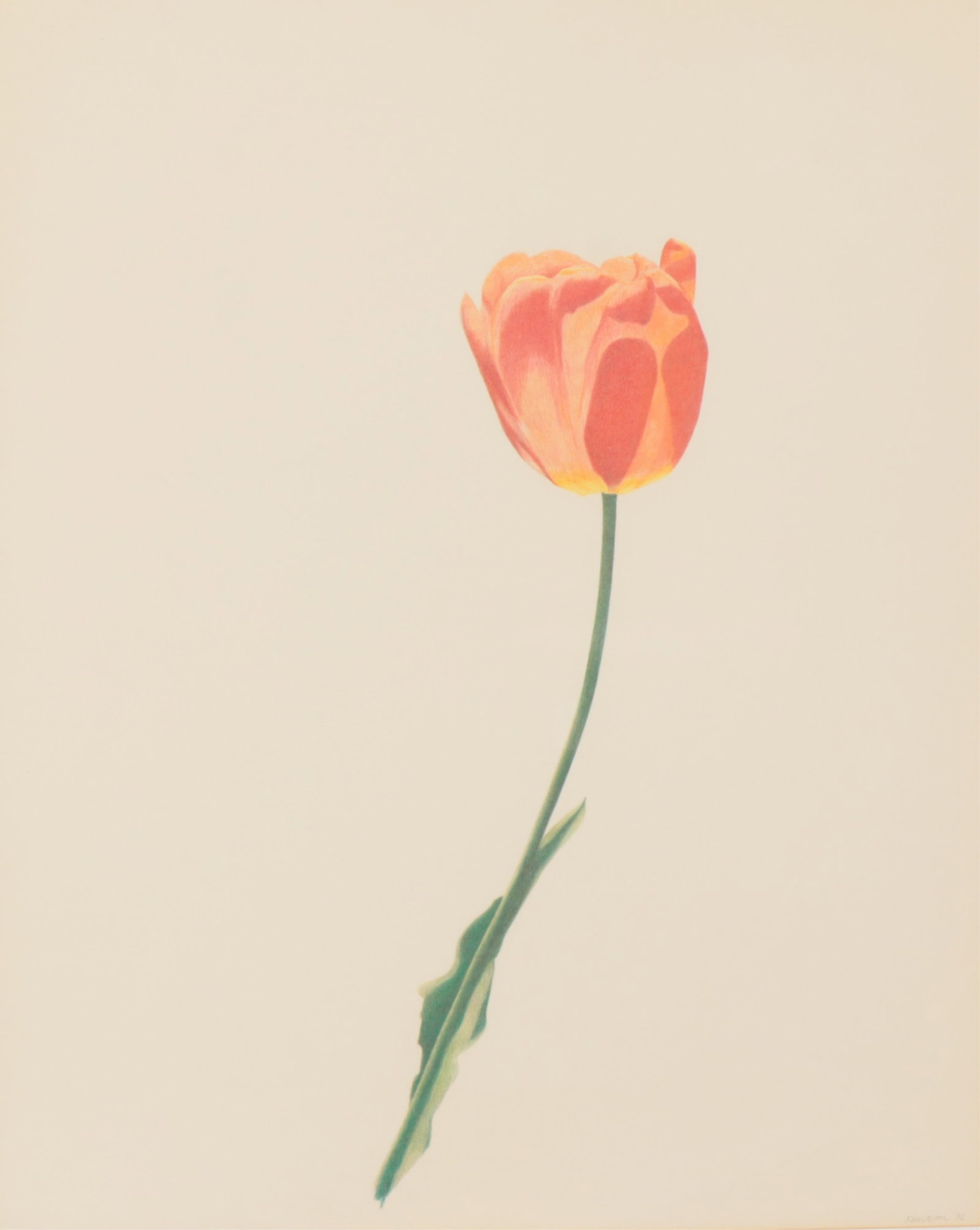 Kenerson - Tulip, Pastel (1 of 9)