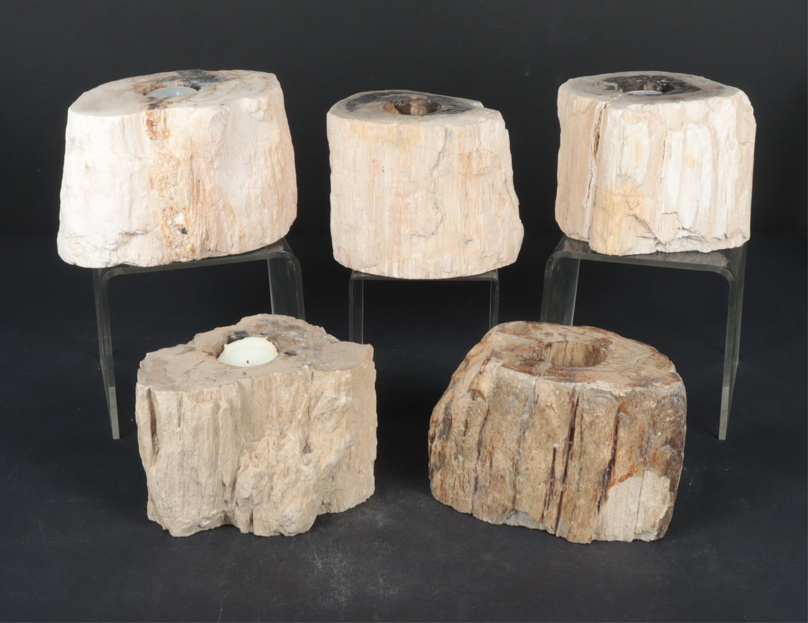 Five Petrified Wood Candlesticks: A group of five petrified wood candlesticks. Dimensions: 4" H