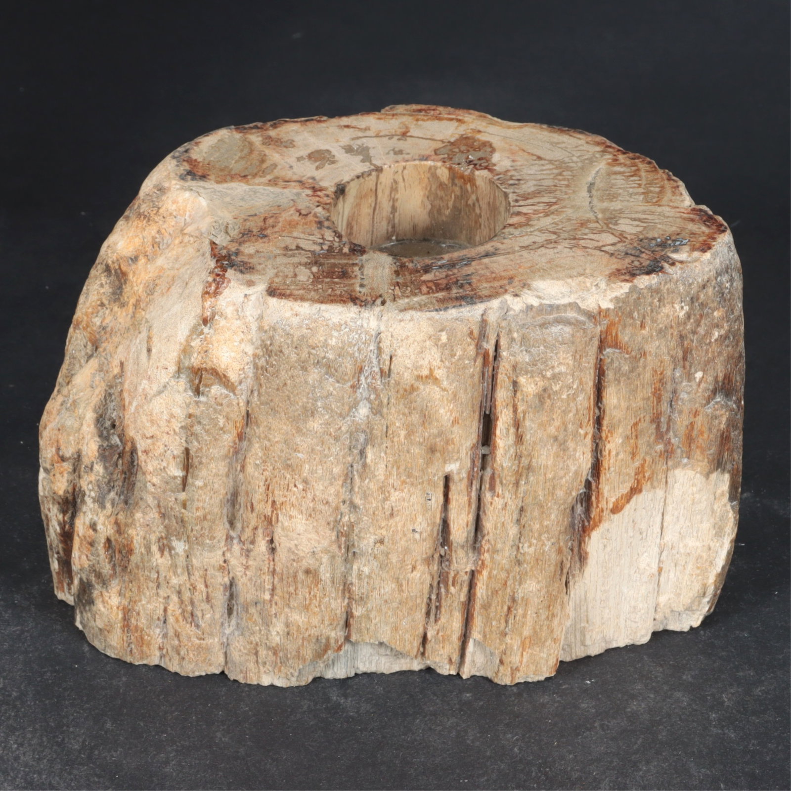 Five Petrified Wood Candlesticks - 2