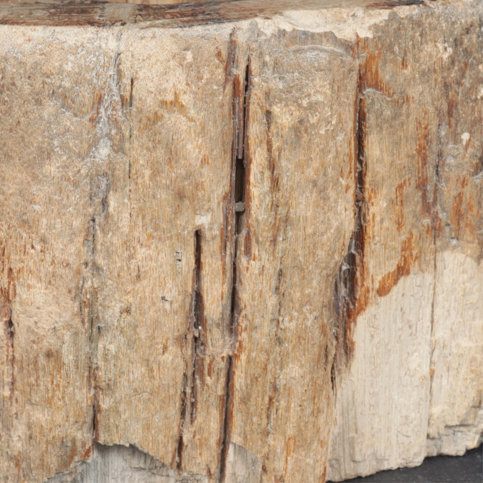 Five Petrified Wood Candlesticks - 3