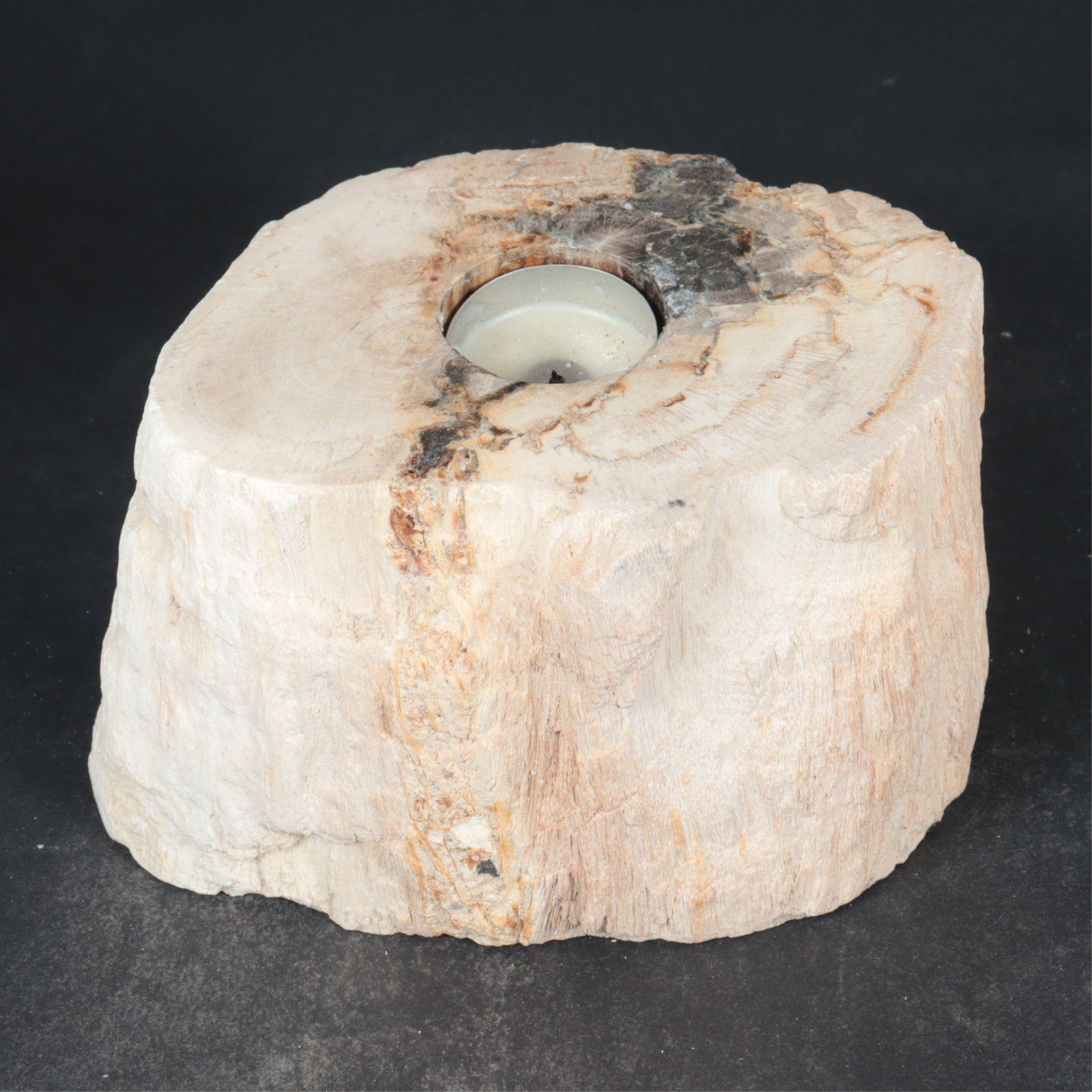 Five Petrified Wood Candlesticks - 4