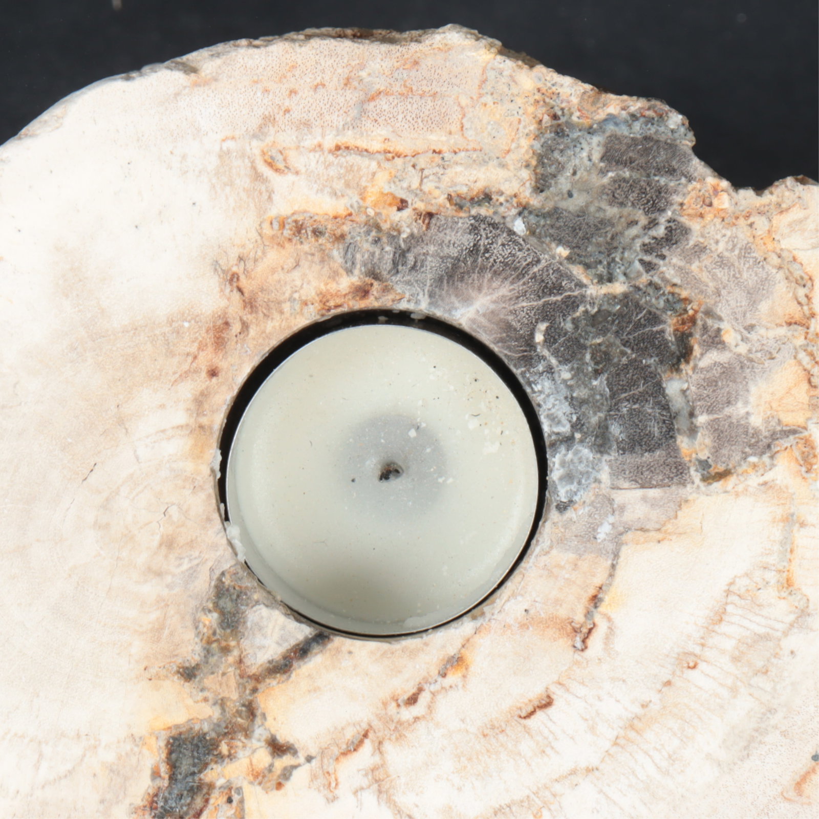 Five Petrified Wood Candlesticks - 5