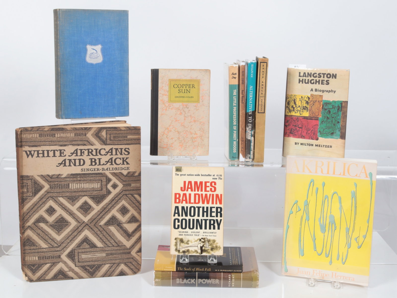 12 Black & Hispanic Literature Books (1 of 5)