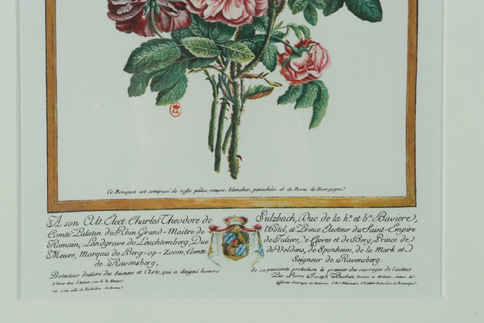 7 Framed Rose Botanicals - Bamboo Styled frames - 13